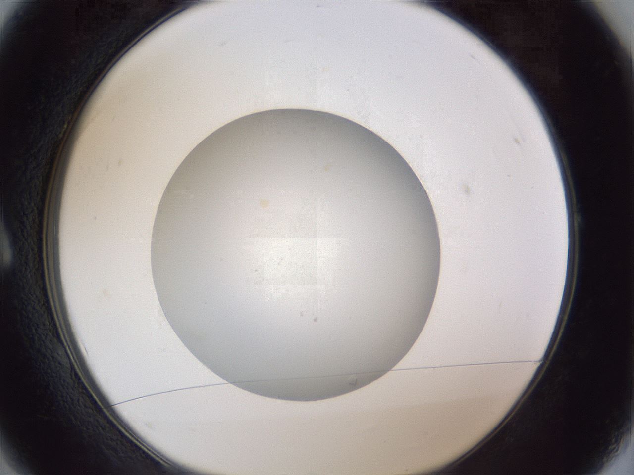 folderID99_plateID1099_batchID2565_wellNum1_profileID1_d1_r53365_ef.jpg