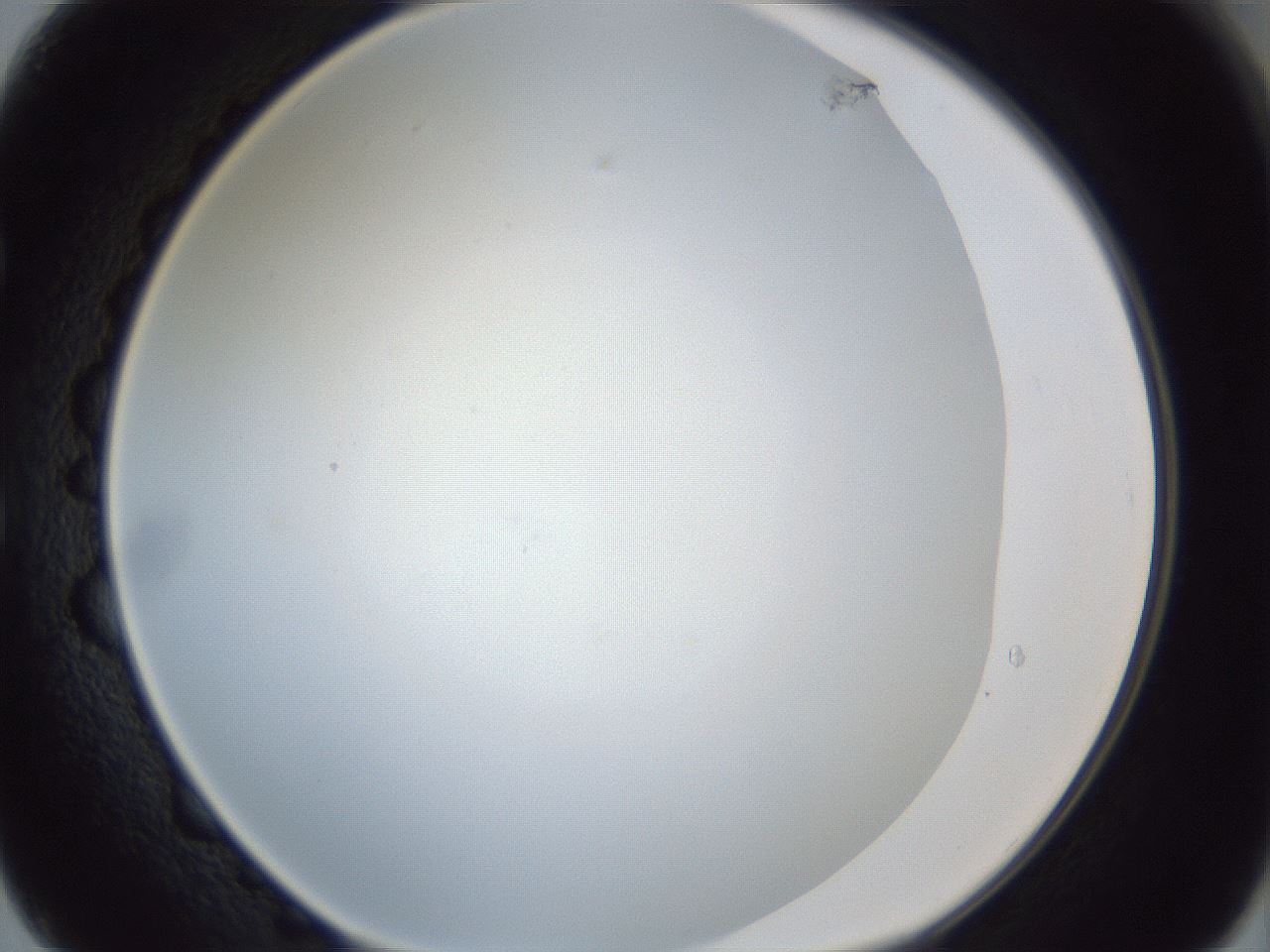 folderID99_plateID1099_batchID2565_wellNum50_profileID1_d1_r53414_ef.jpg