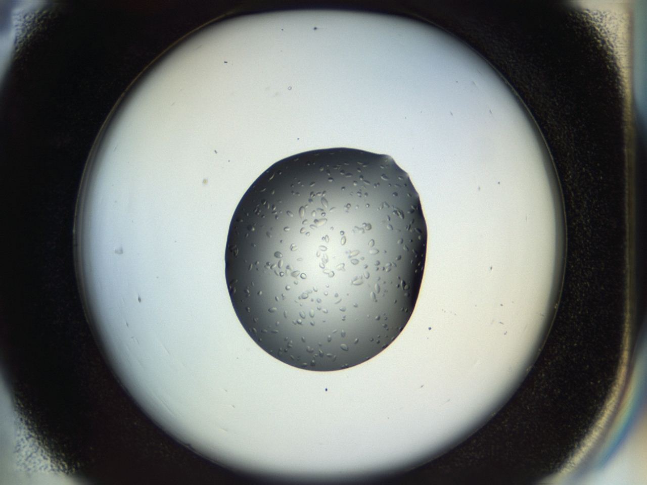 04oz_C4_ImagerDefaults_9.jpg