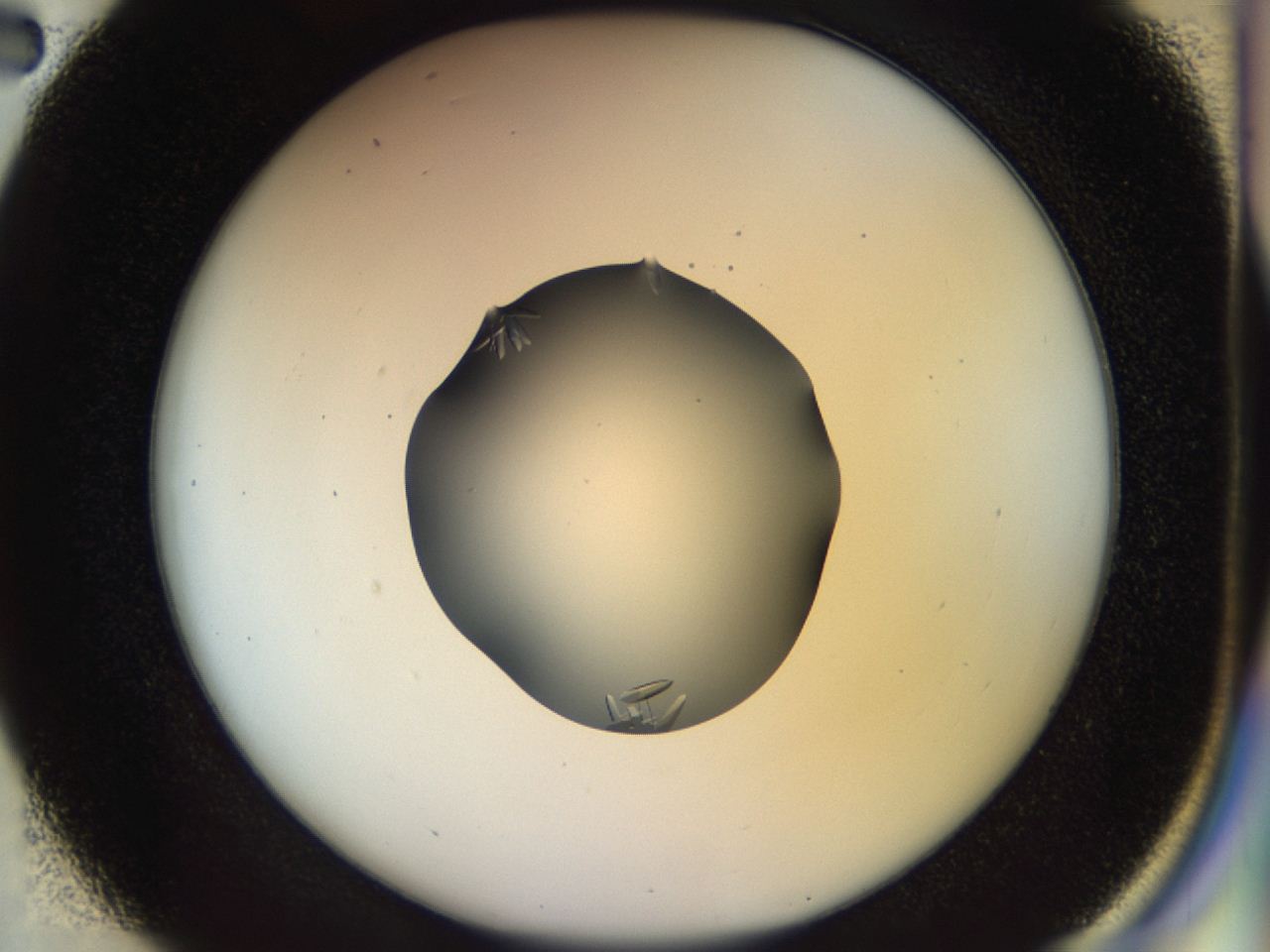 04oz_D2_ImagerDefaults_9.jpg