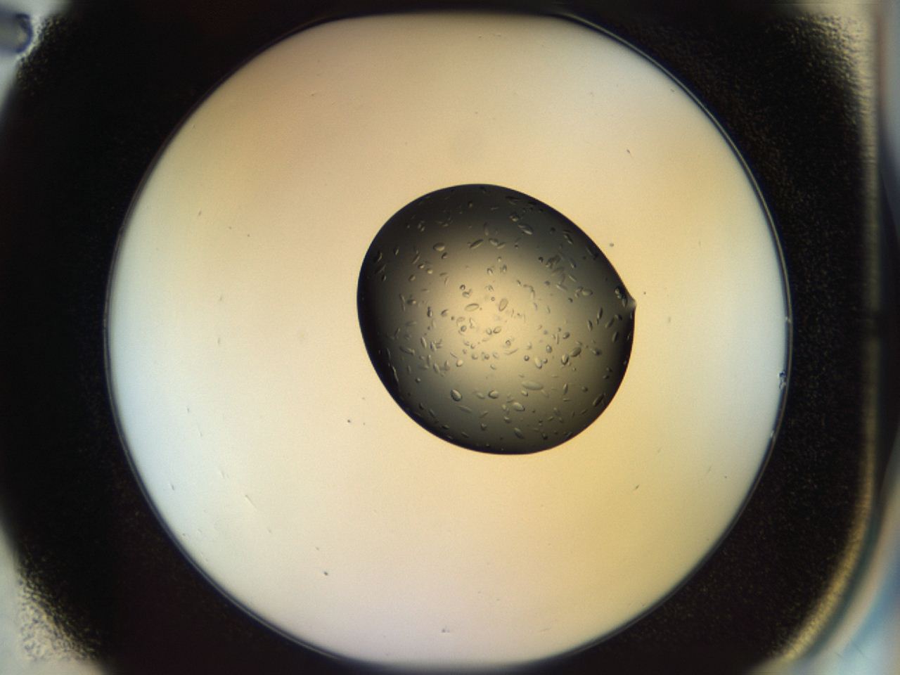 04p0_B2_ImagerDefaults_9.jpg