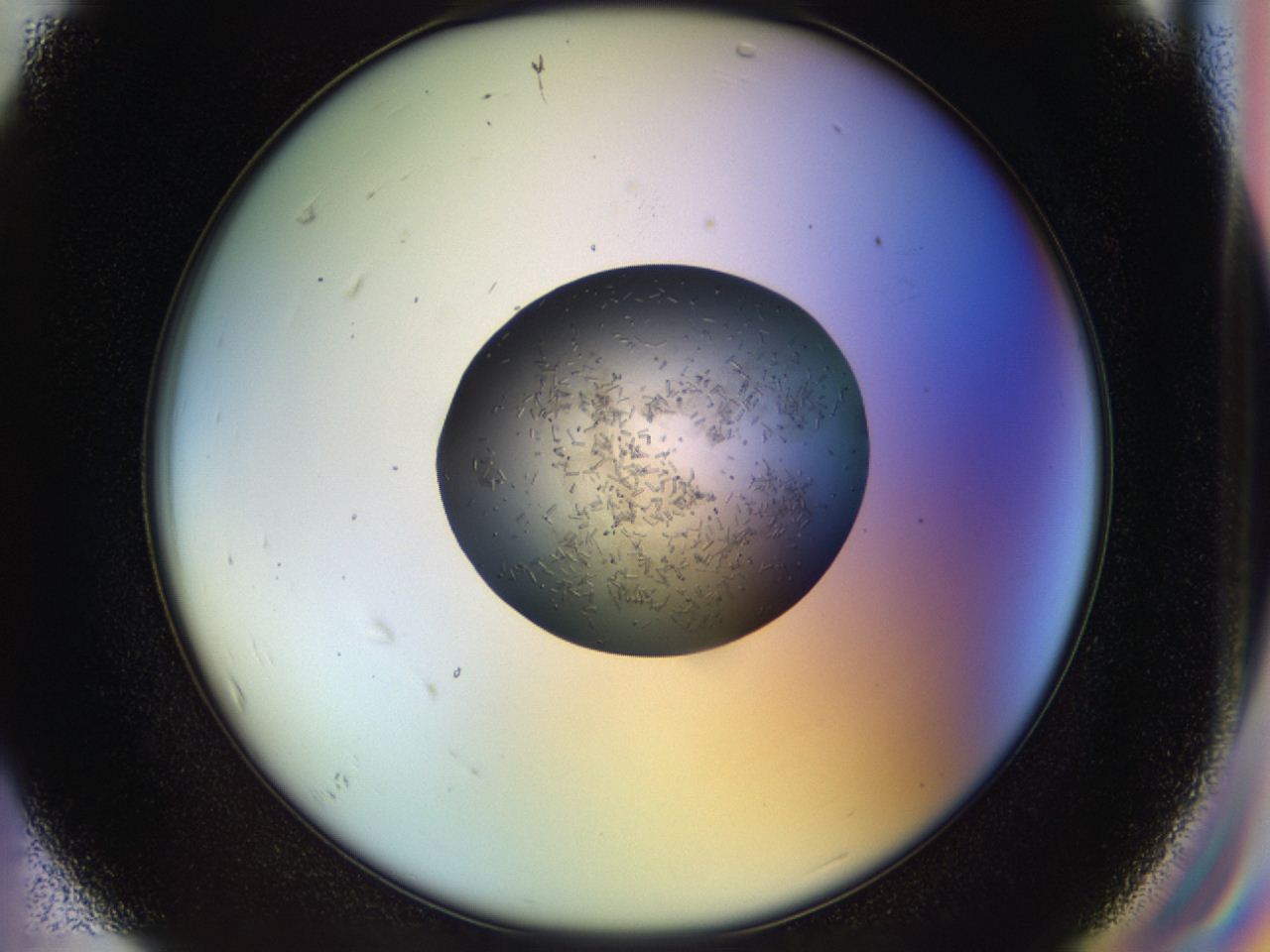 04p0_F7_ImagerDefaults_6.jpg