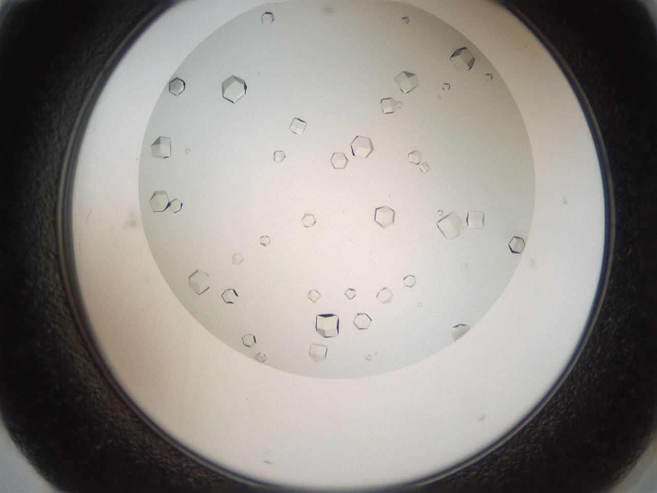 folderID193_plateID3193_batchID17820_wellNum71_profileID1_d2_r276944_ef.jpg