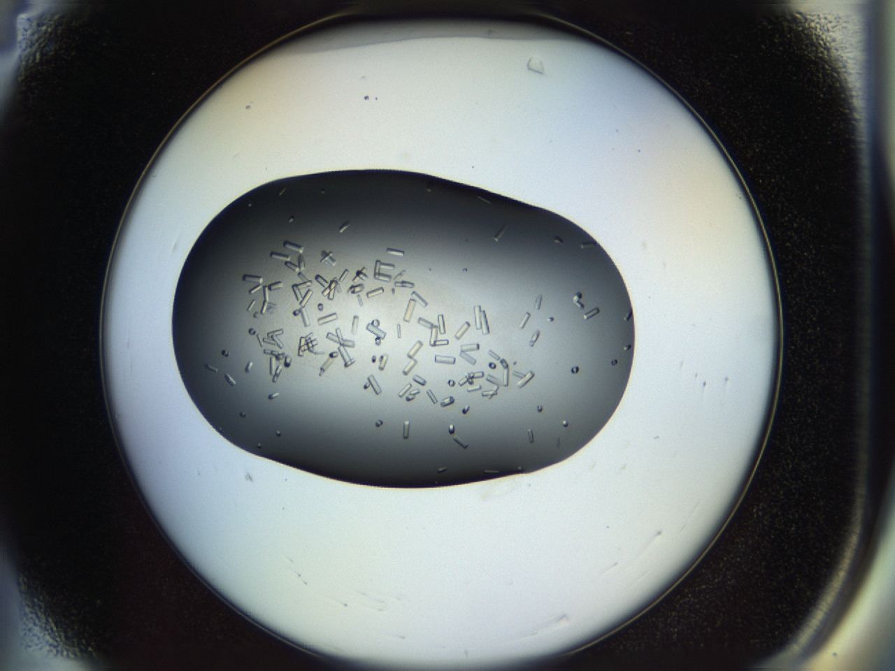 04p1_A4_ImagerDefaults_9.jpg
