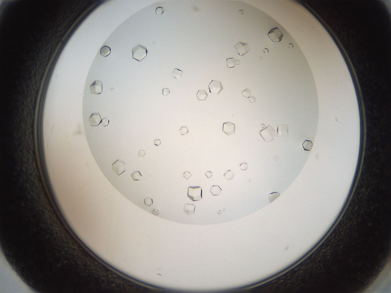folderID193_plateID3193_batchID17948_wellNum71_profileID1_d2_r276944_ef.jpg
