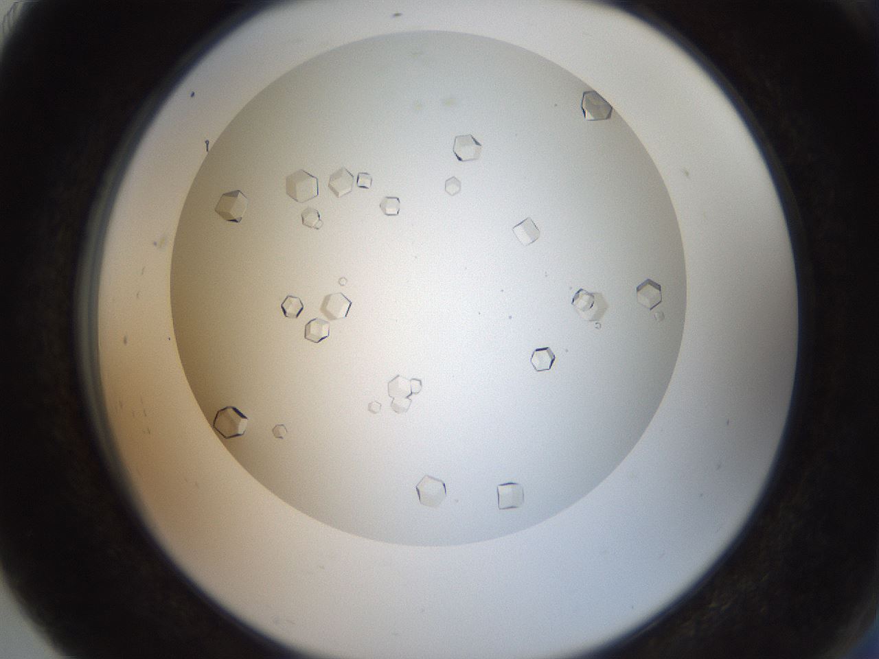 folderID193_plateID3193_batchID17948_wellNum91_profileID1_d2_r276984_ef.jpg