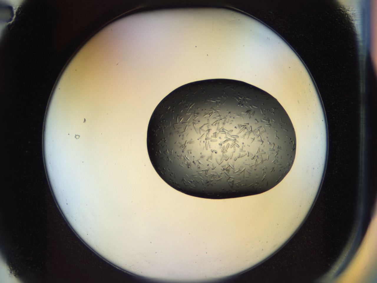 04p1_A2_ImagerDefaults_9.jpg