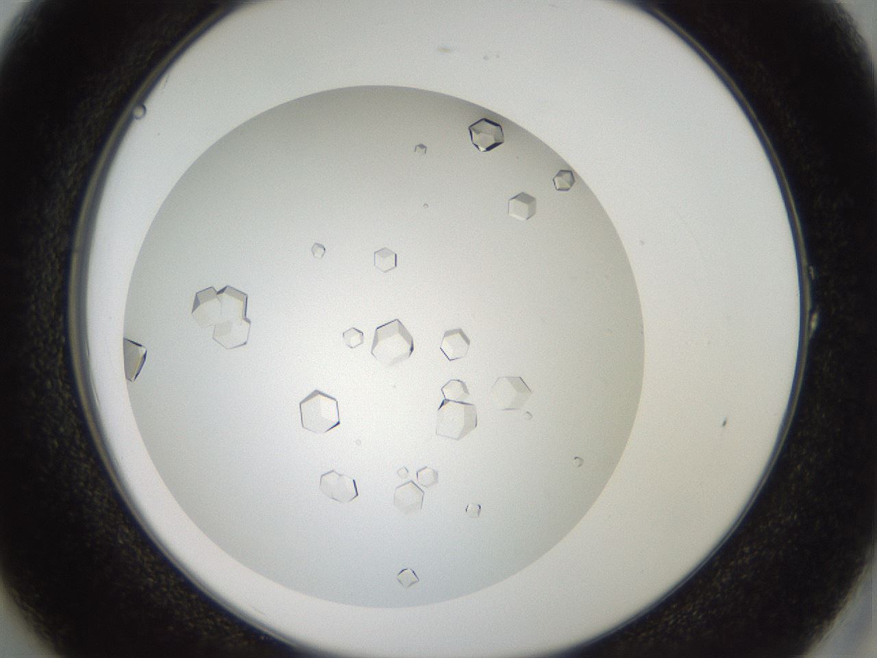 folderID193_plateID3193_batchID18021_wellNum1_profileID1_d2_r276804_ef.jpg