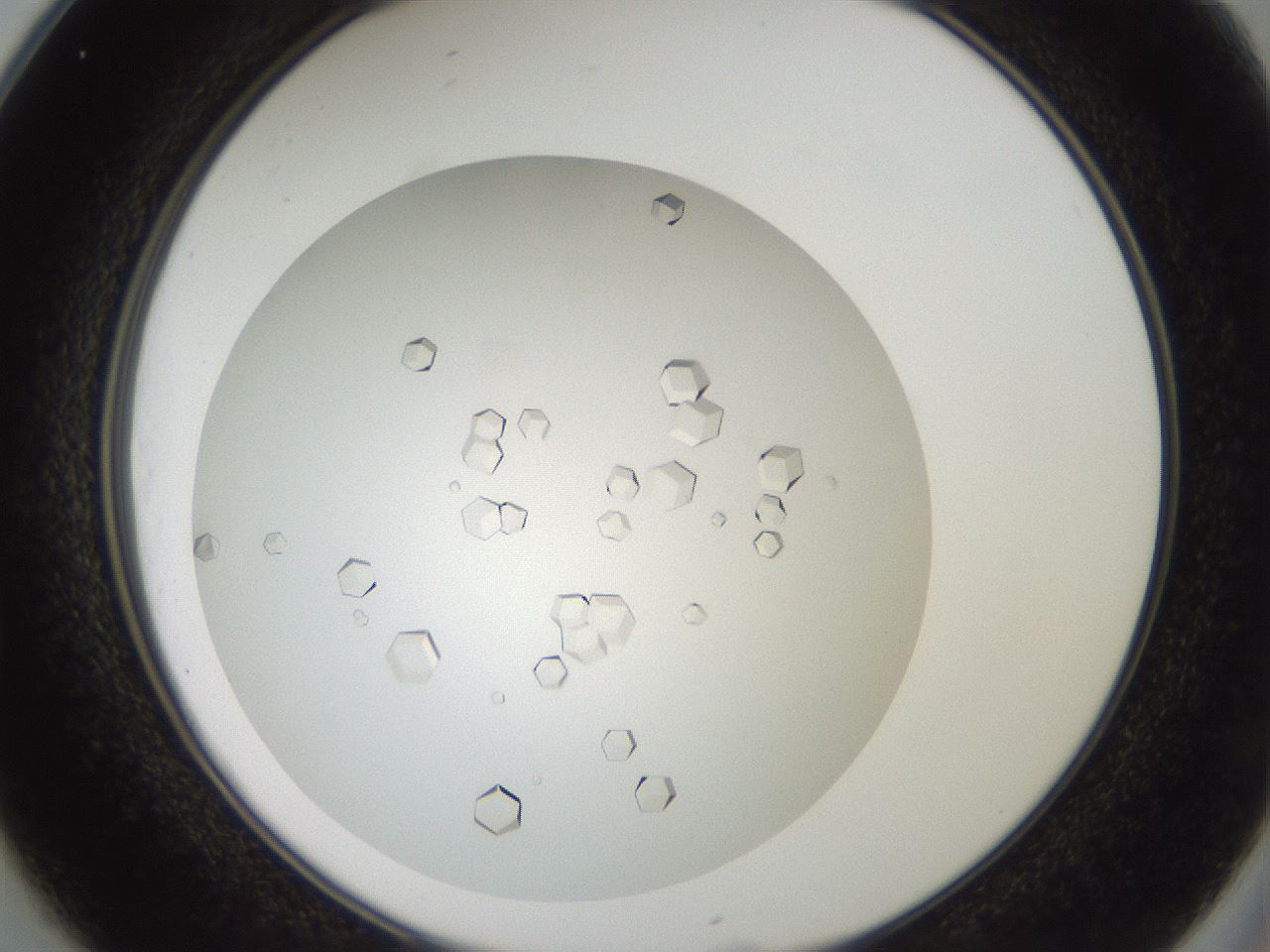 folderID193_plateID3193_batchID18021_wellNum25_profileID1_d2_r276852_ef.jpg