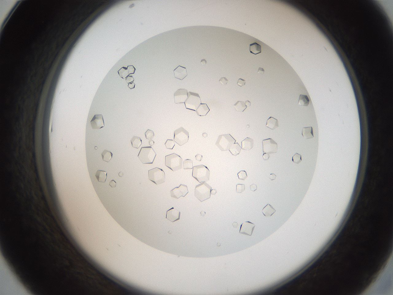 folderID193_plateID3193_batchID18021_wellNum43_profileID1_d2_r276888_ef.jpg