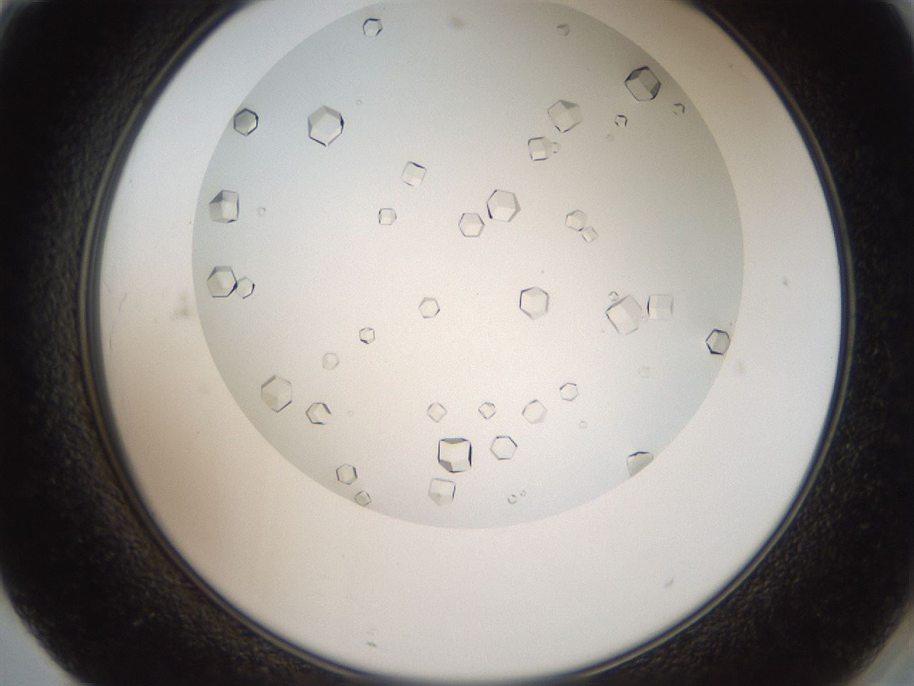 folderID193_plateID3193_batchID18021_wellNum71_profileID1_d2_r276944_ef.jpg