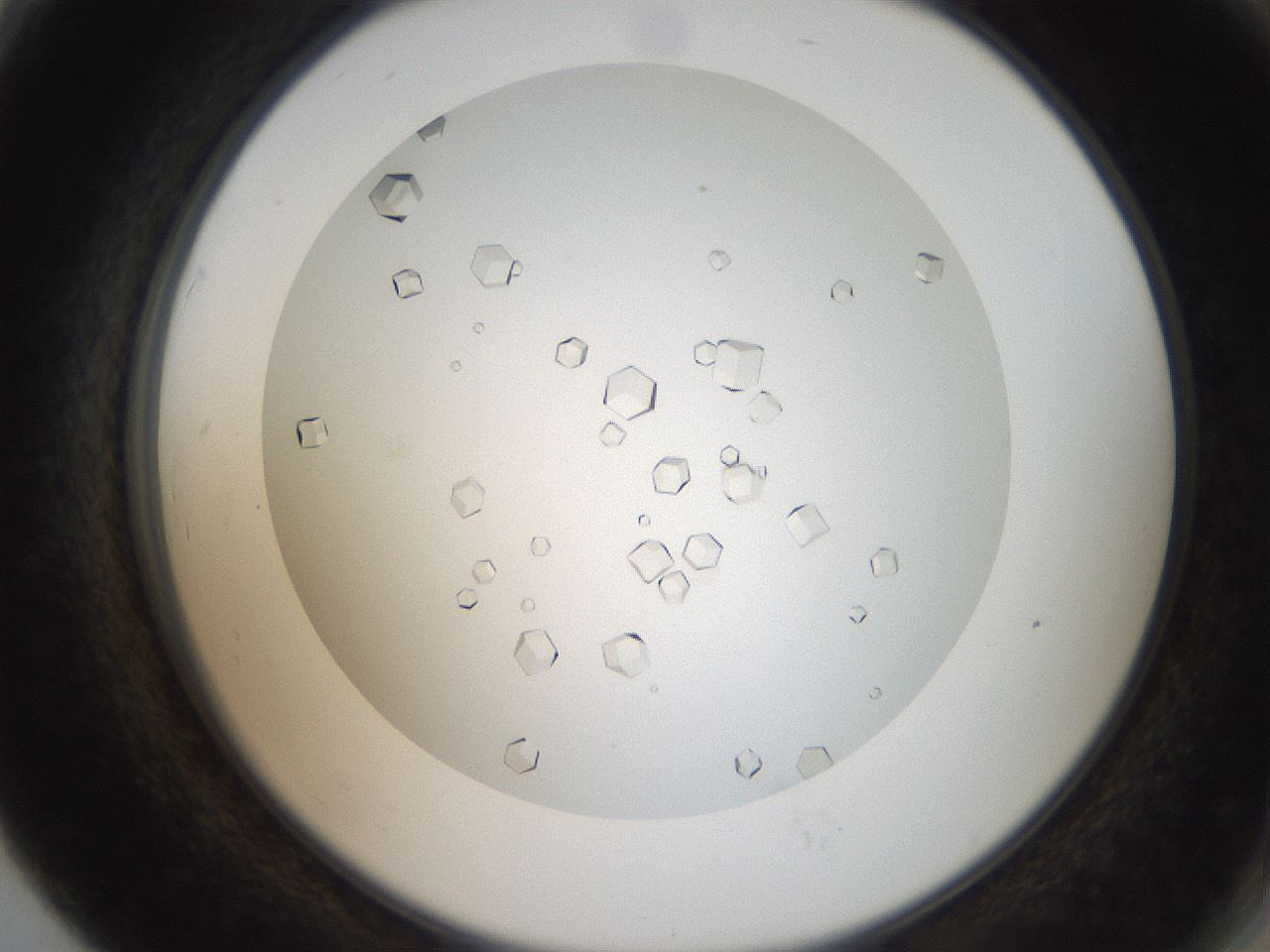 folderID193_plateID3193_batchID18021_wellNum79_profileID1_d2_r276960_ef.jpg
