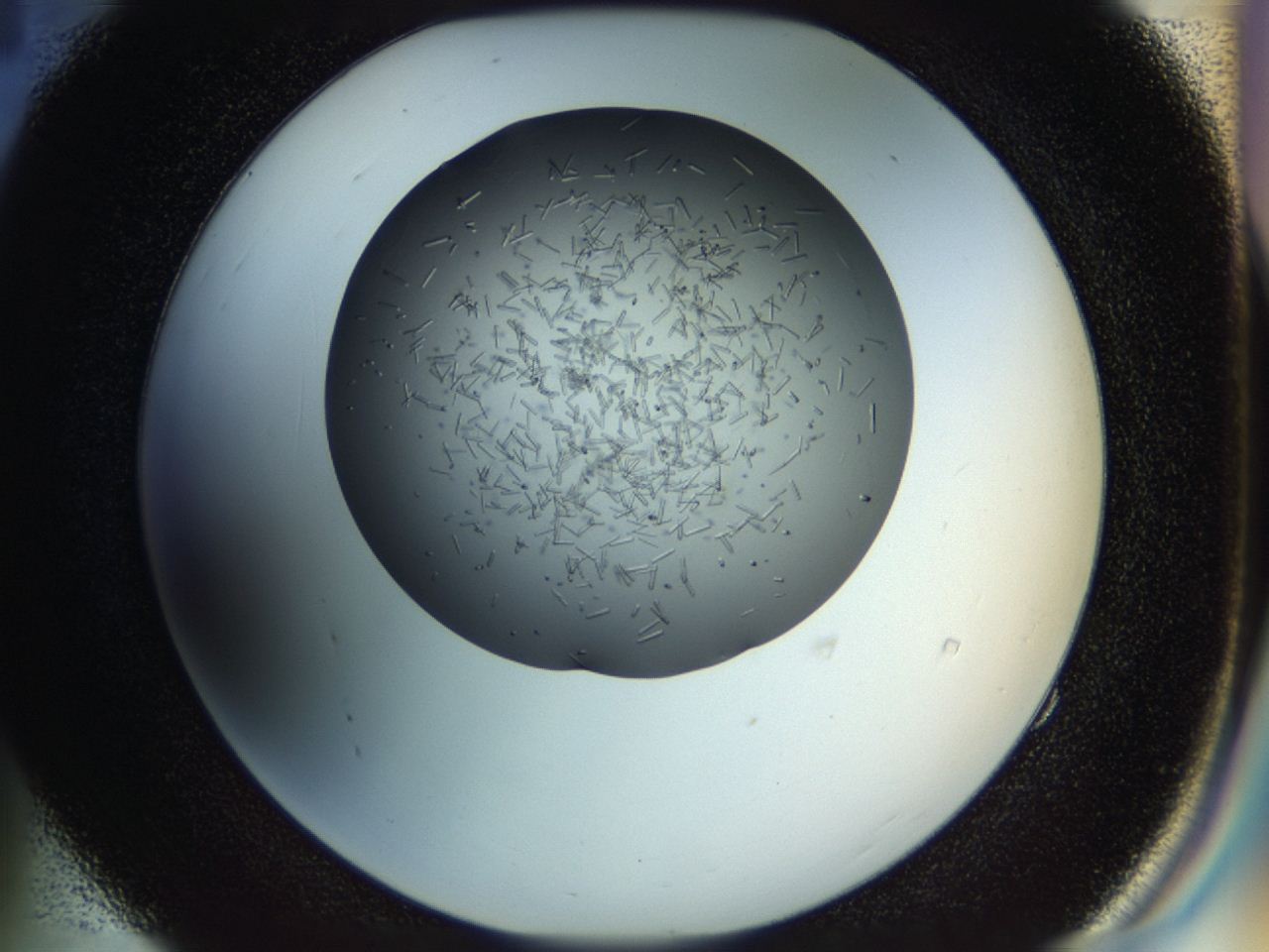 04p1_E4_ImagerDefaults_7.jpg