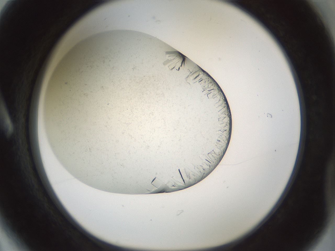 folderID196_plateID3196_batchID18020_wellNum6_profileID1_d1_r277773_ef.jpg