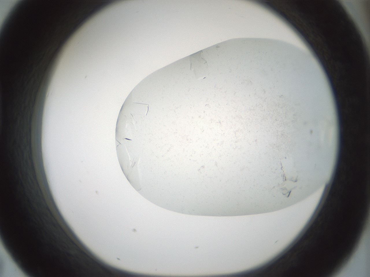 folderID196_plateID3196_batchID18054_wellNum43_profileID1_d1_r277810_ef.jpg