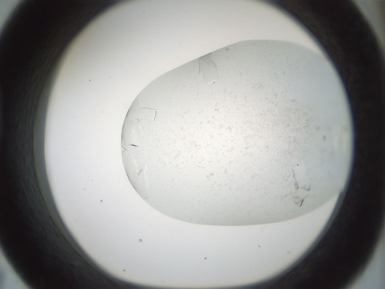 folderID196_plateID3196_batchID18414_wellNum43_profileID1_d1_r277810_ef.jpg