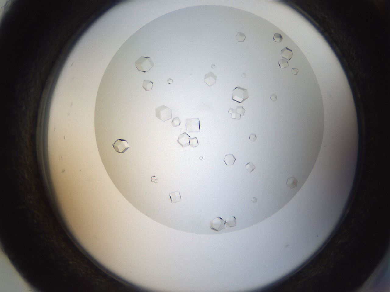 folderID193_plateID3193_batchID17948_wellNum93_profileID1_d2_r276988_ef.jpg