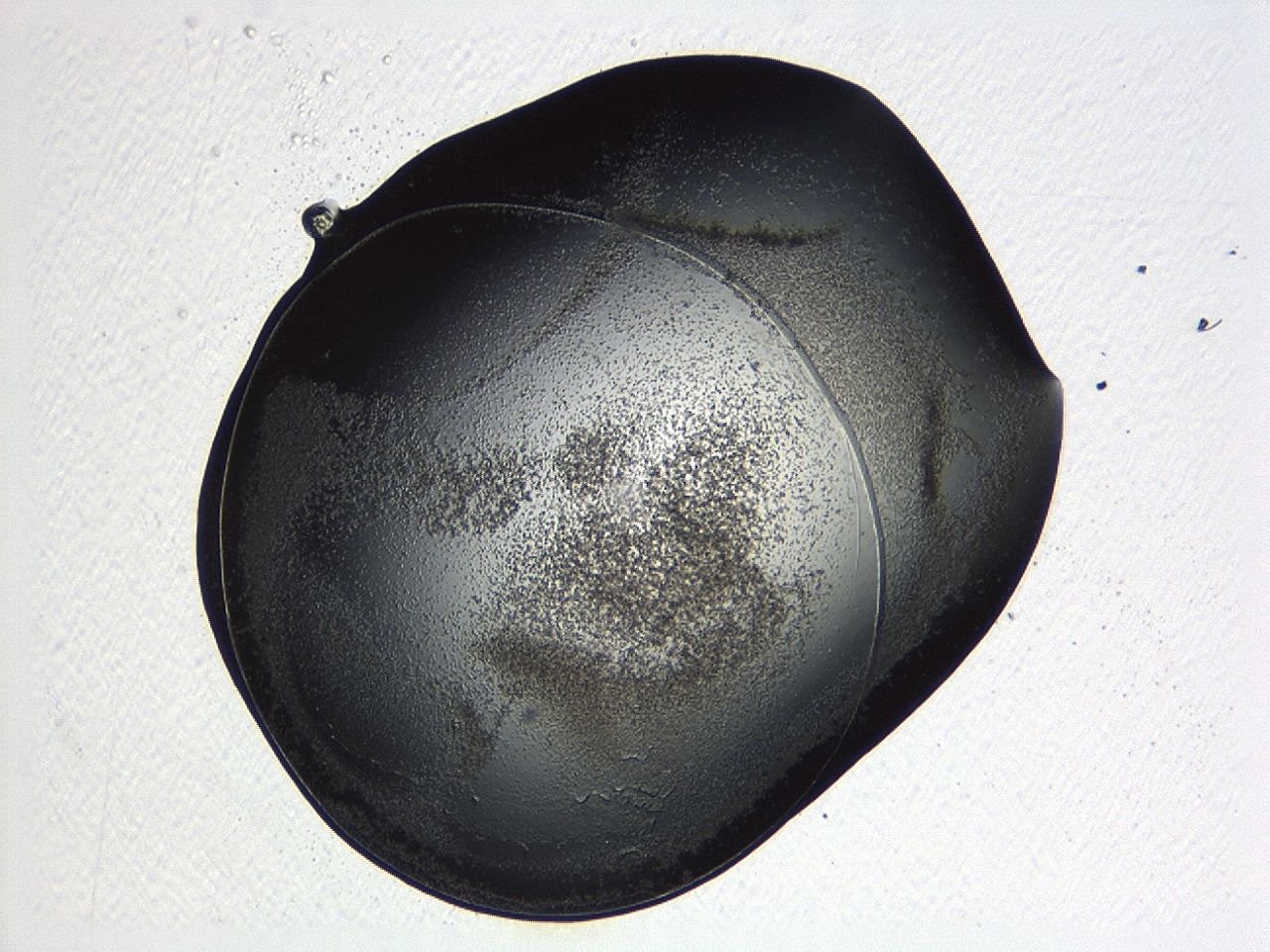 04p3_D8_ImagerDefaults_3.jpg