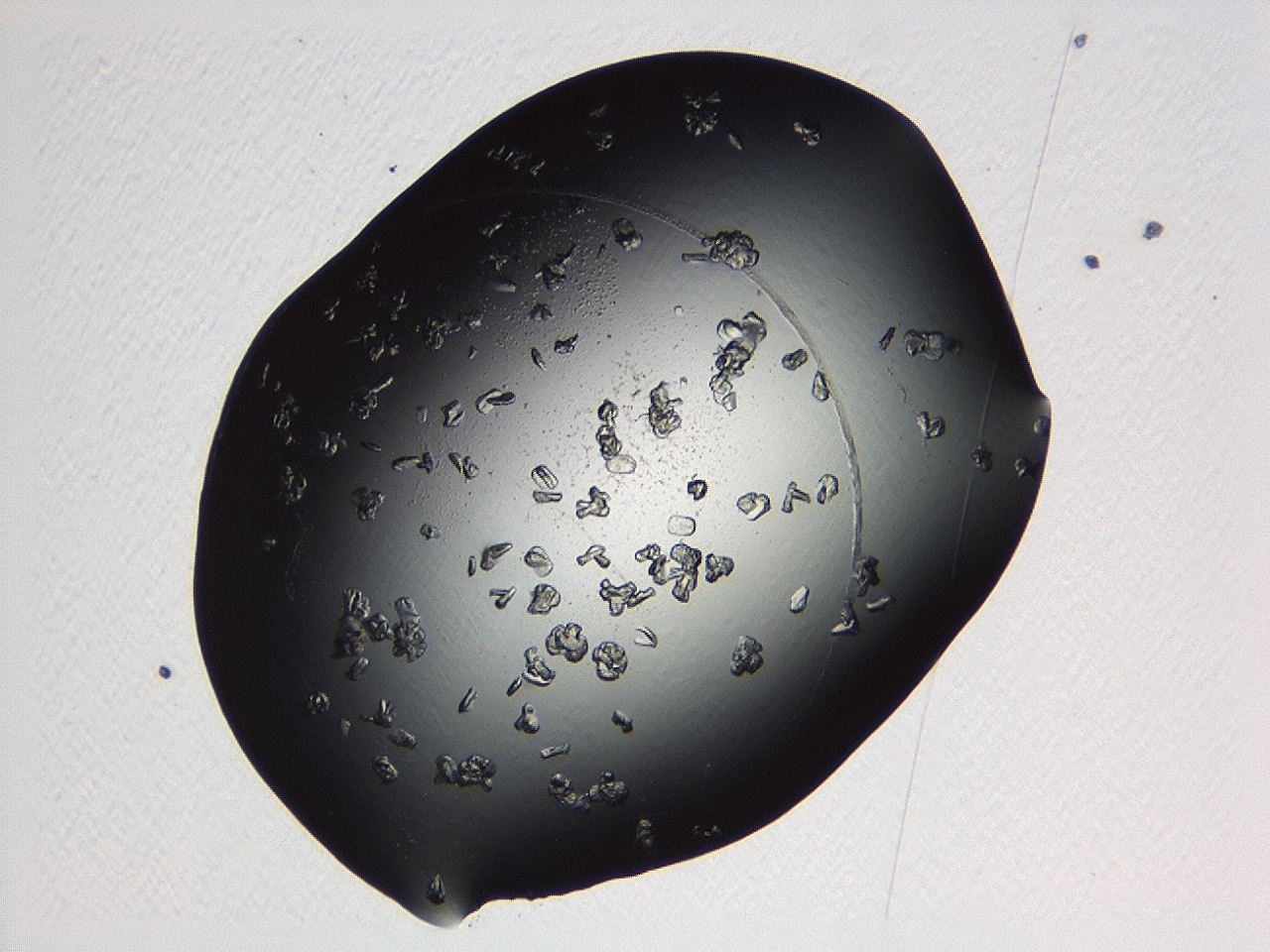 04p3_C8_ImagerDefaults_9.jpg