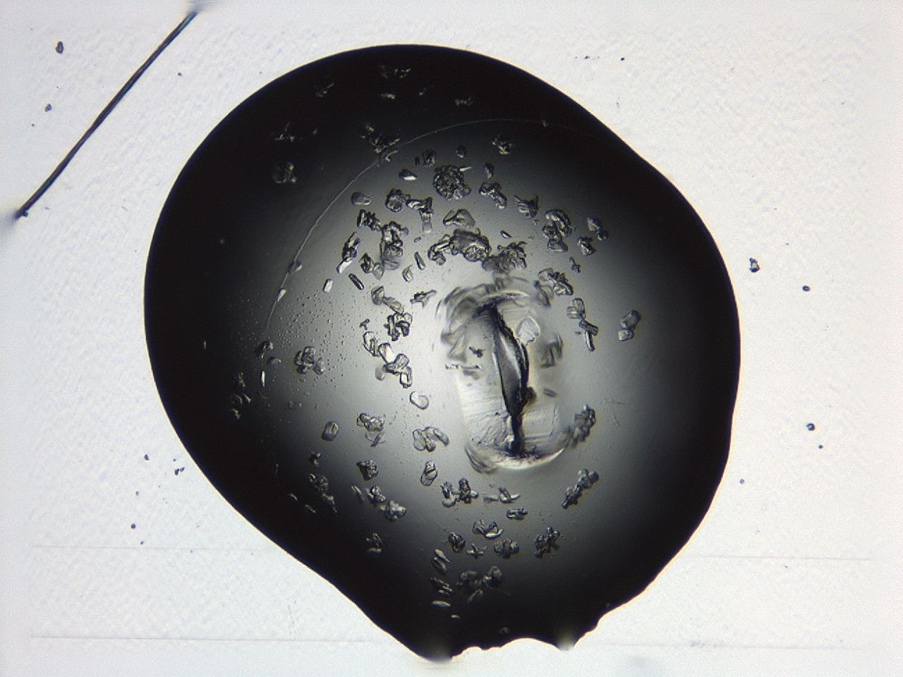 04p3_C7_ImagerDefaults_9.jpg