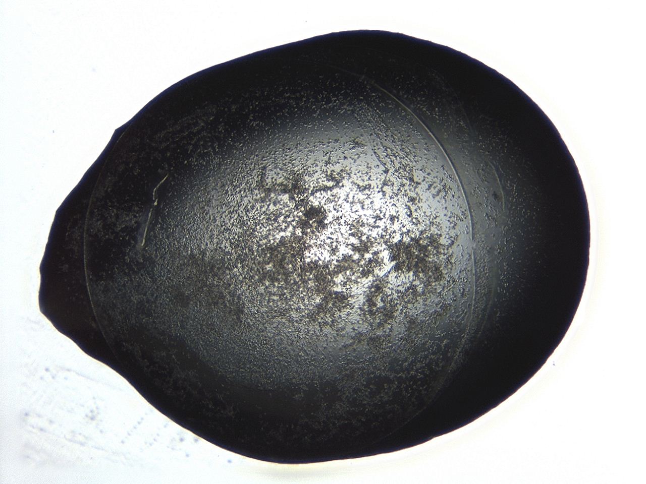 04p3_B12_ImagerDefaults_3.jpg
