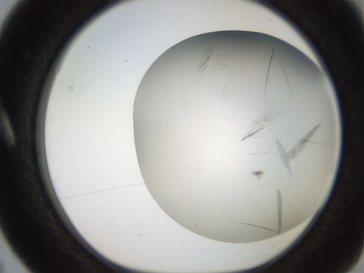 folderID235_plateID2235_batchID10019_wellNum5_profileID1_d1_r154463_ef.jpg