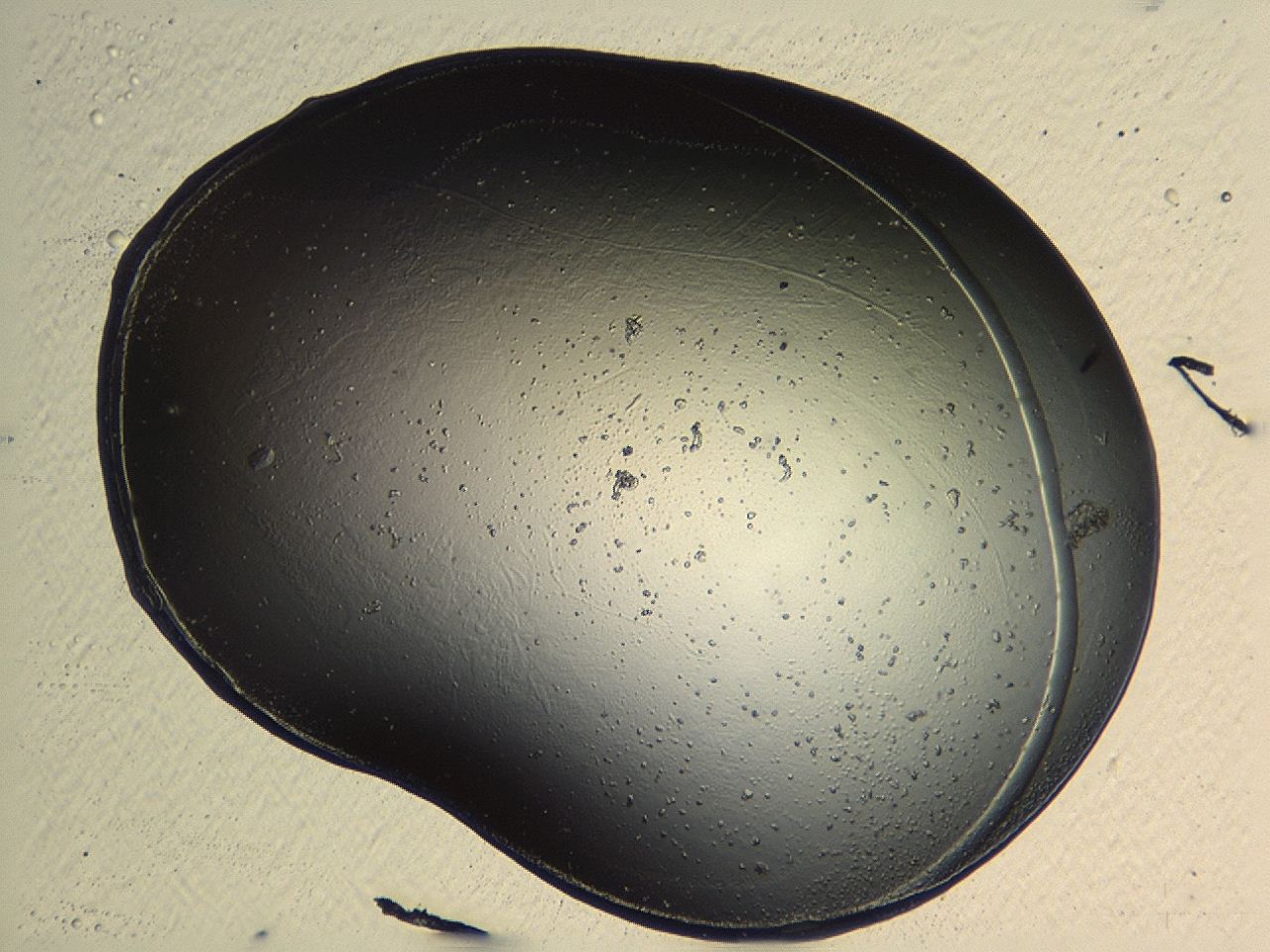 04p3_G6_ImagerDefaults_3.jpg