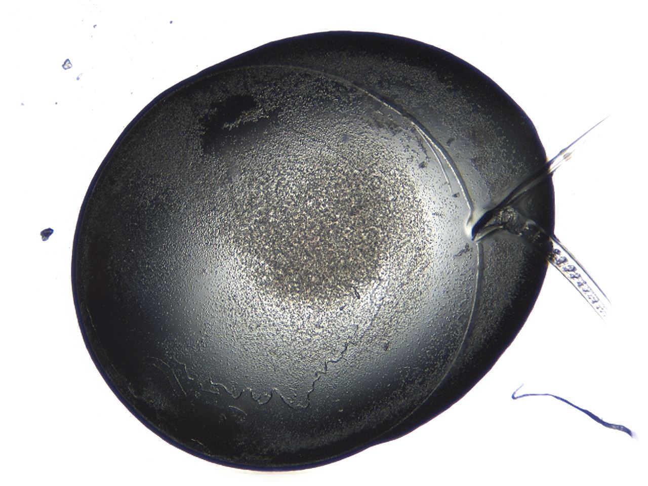 04p3_D10_ImagerDefaults_3.jpg