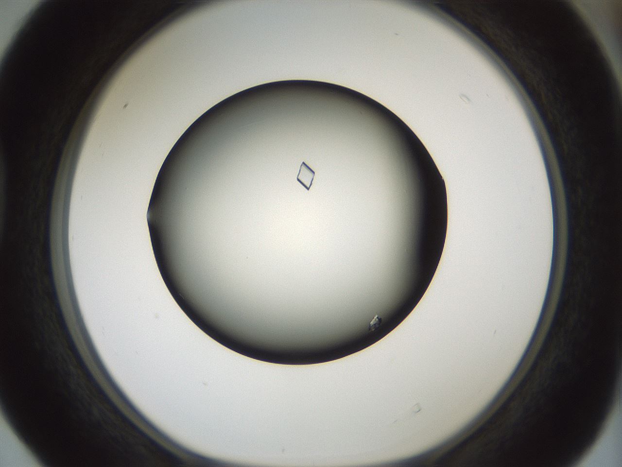 folderID358_plateID1358_batchID4538_wellNum40_profileID1_d1_r82227_ef.jpg