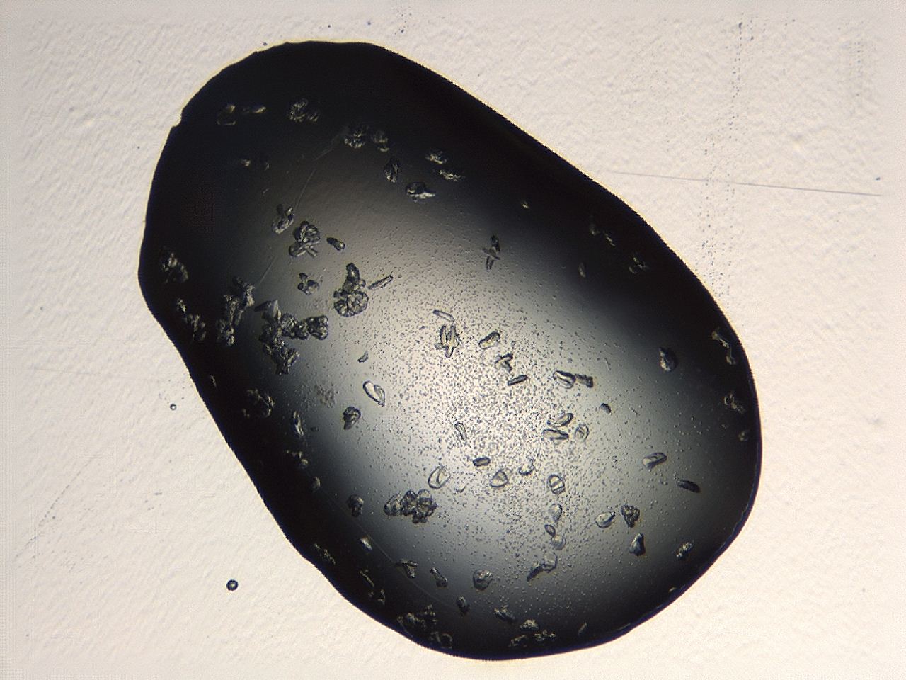 04p3_C2_ImagerDefaults_9.jpg