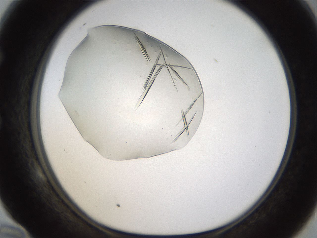 folderID389_plateID1389_batchID5187_wellNum58_profileID1_d1_r84939_ef.jpg