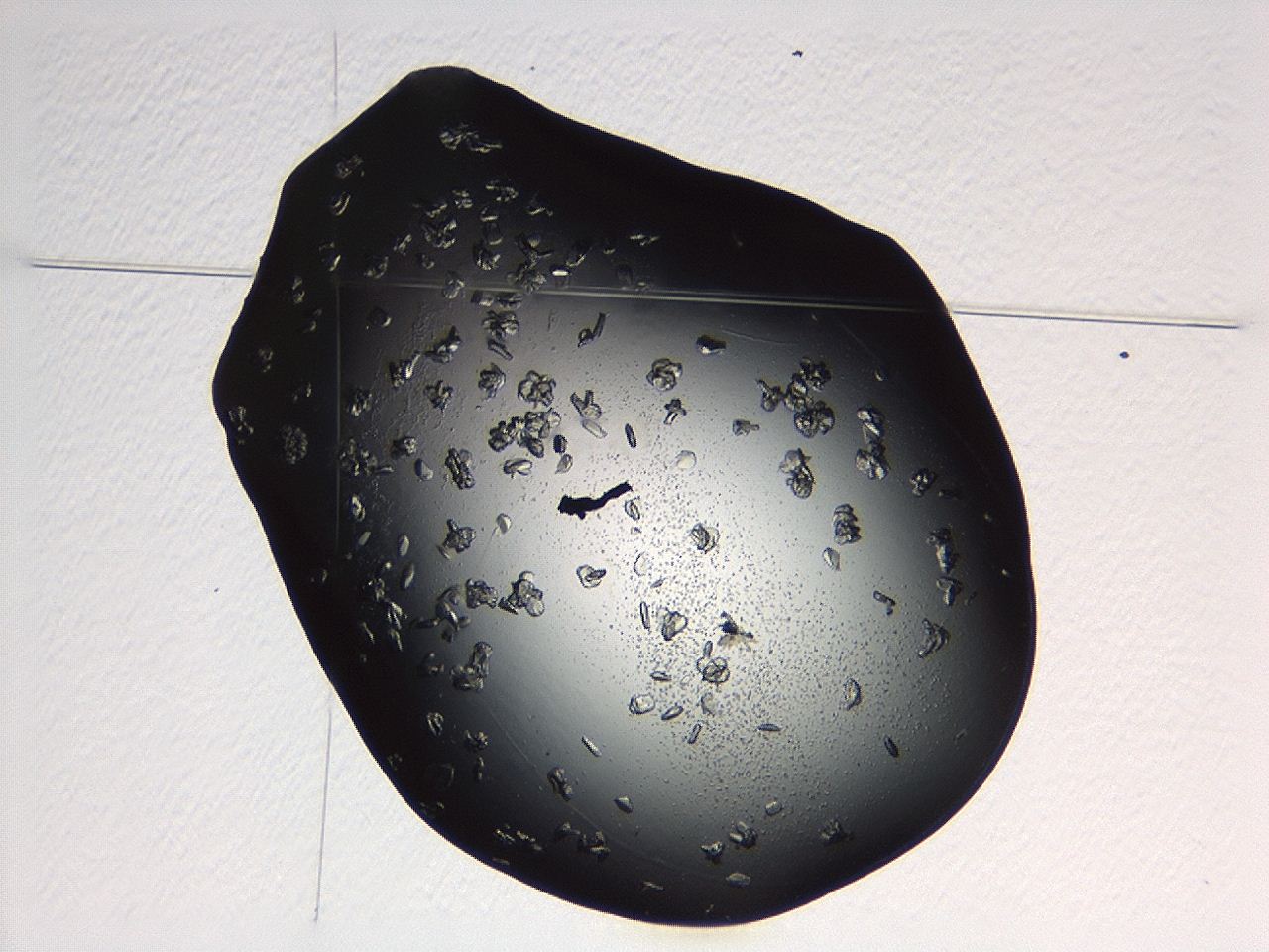 04p3_C4_ImagerDefaults_9.jpg