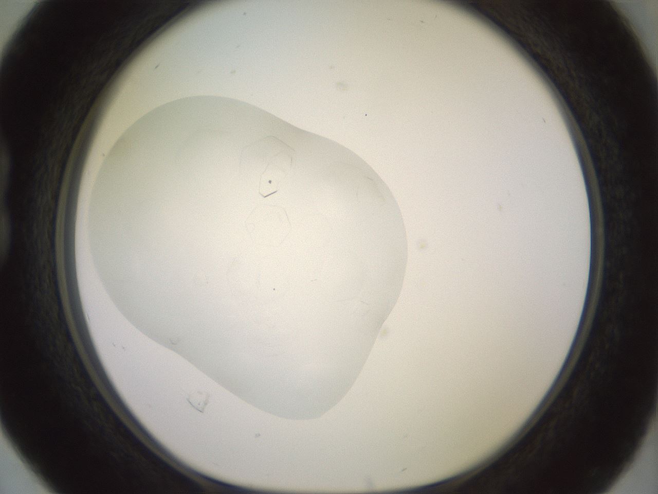 folderID413_plateID3413_batchID19931_wellNum16_profileID1_d1_r302769_ef.jpg