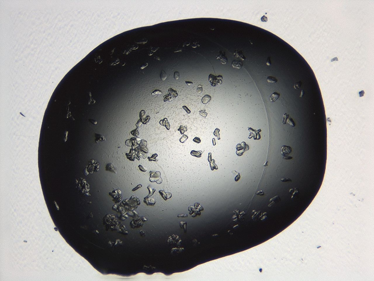 04p3_C10_ImagerDefaults_9.jpg