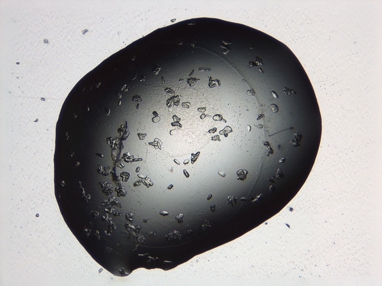 04p3_C11_ImagerDefaults_9.jpg