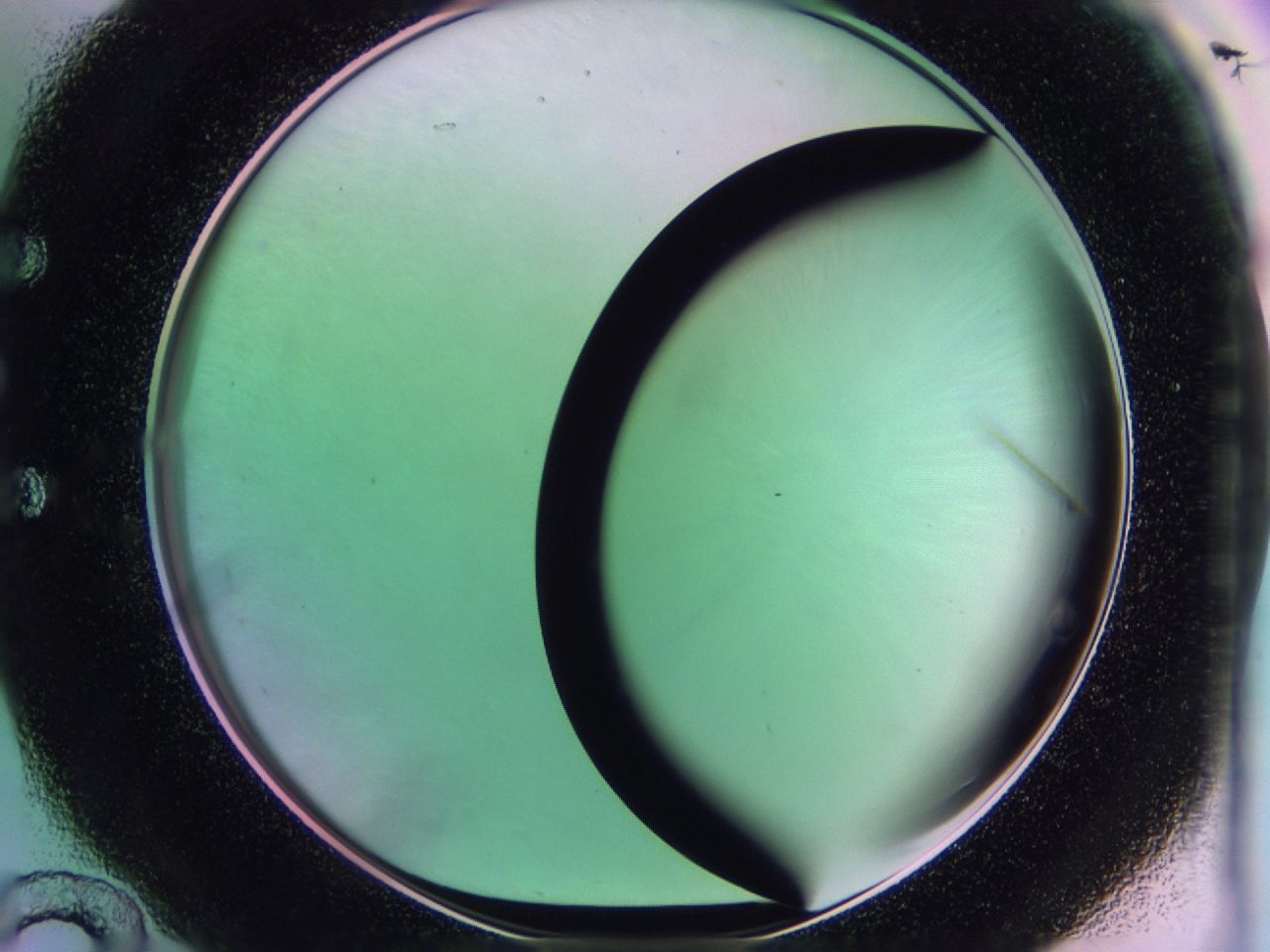 01dc_E12_ImagerDefaults_1.jpg
