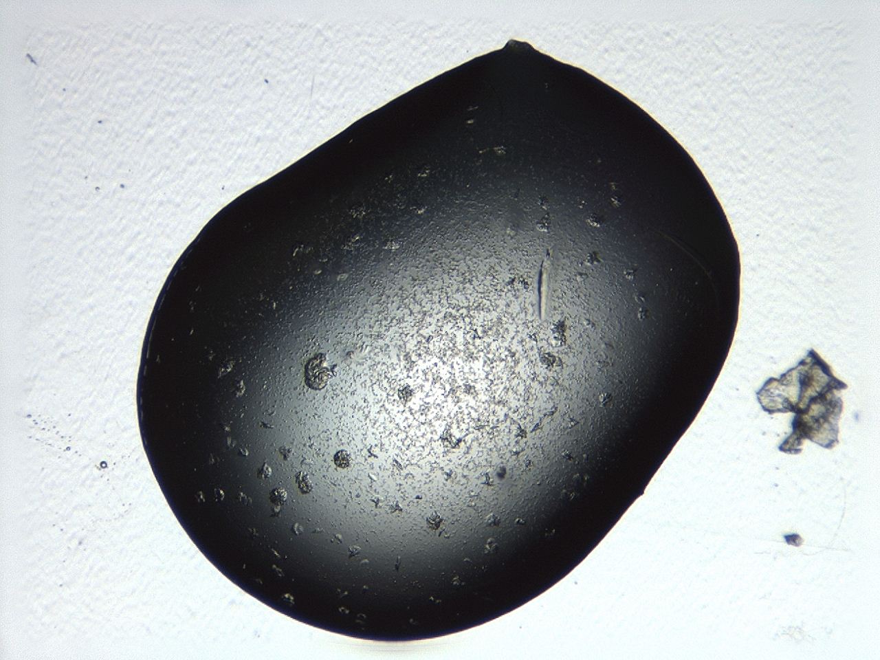 04p3_D1_ImagerDefaults_9.jpg