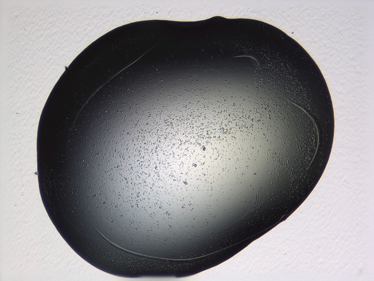 04p3_D2_ImagerDefaults_3.jpg