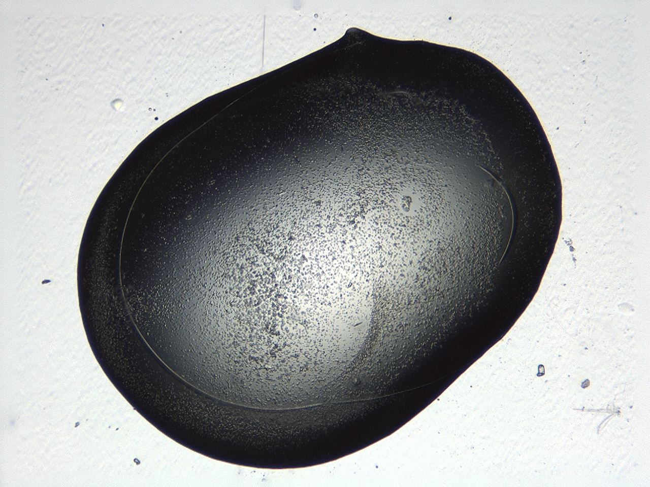04p3_D4_ImagerDefaults_3.jpg