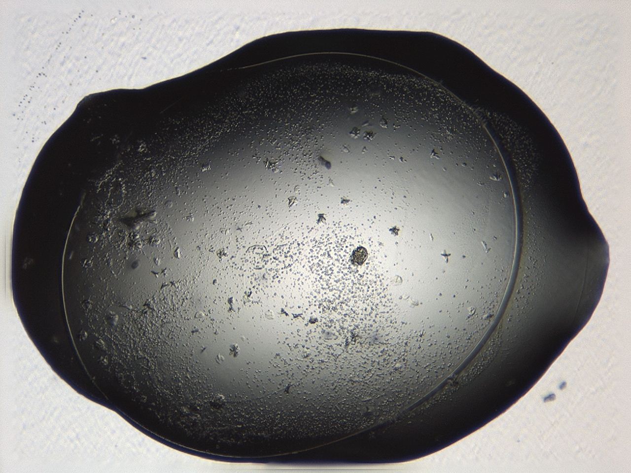 04p3_A5_ImagerDefaults_6.jpg
