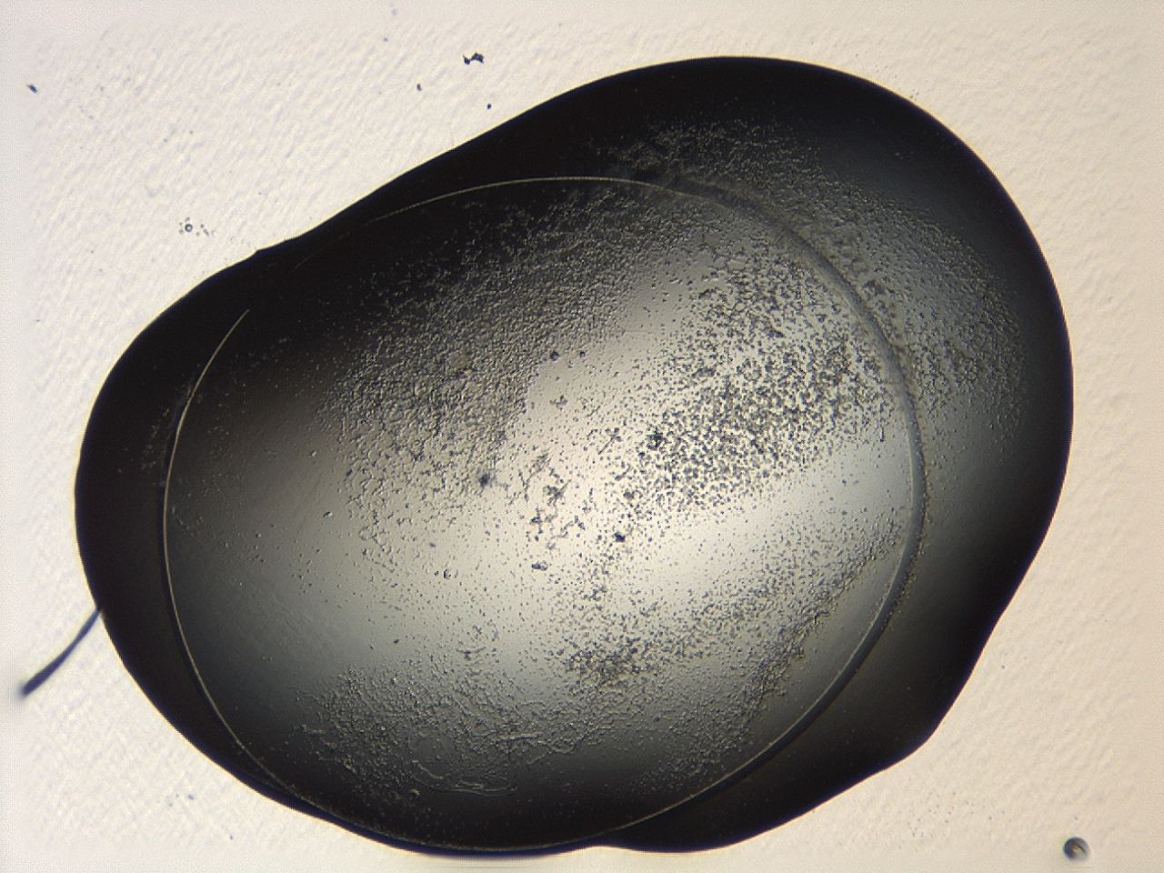 04p3_A6_ImagerDefaults_0.jpg