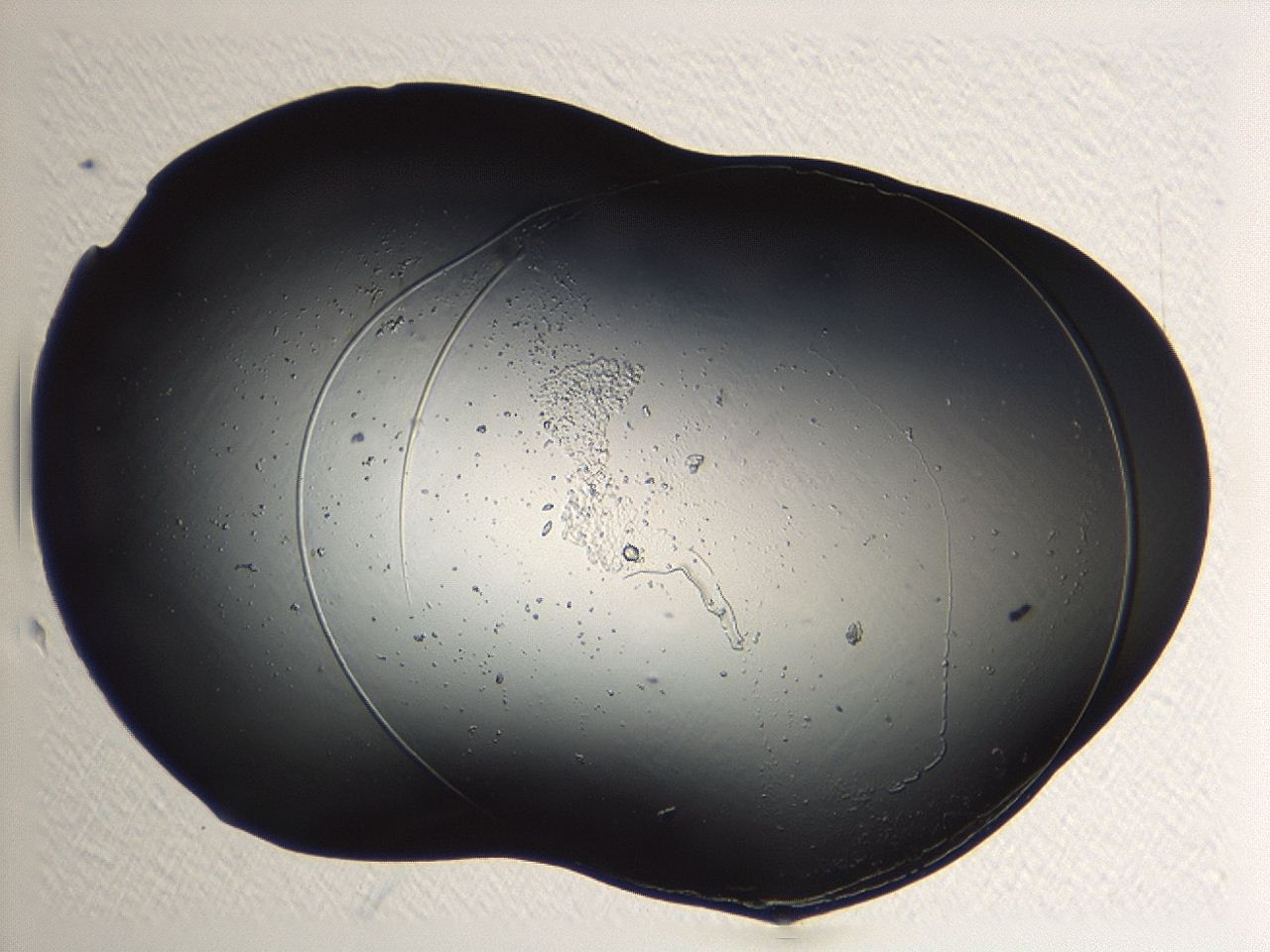 04p3_A8_ImagerDefaults_0.jpg