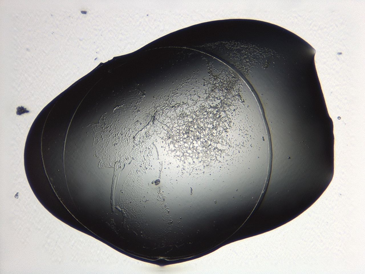 04p3_A9_ImagerDefaults_3.jpg