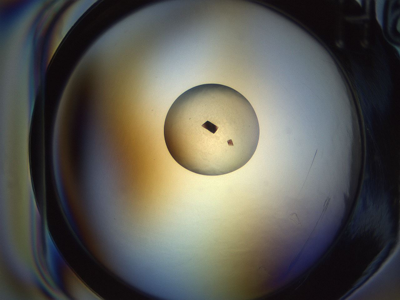 folderID664_plateID1664_batchID6968_wellNum48_profileID1_d1_r110714_ef.jpg