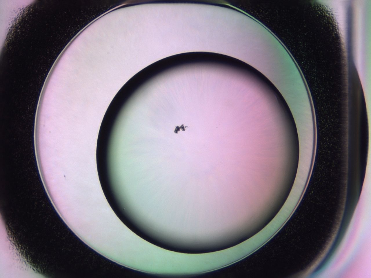 01dc_F1_ImagerDefaults_1.jpg