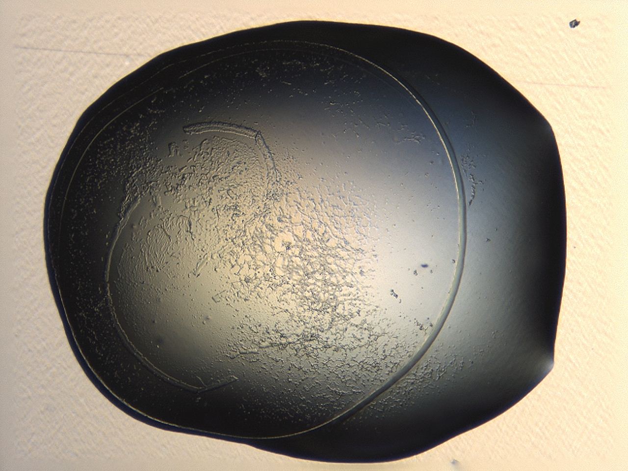 04p3_A11_ImagerDefaults_3.jpg