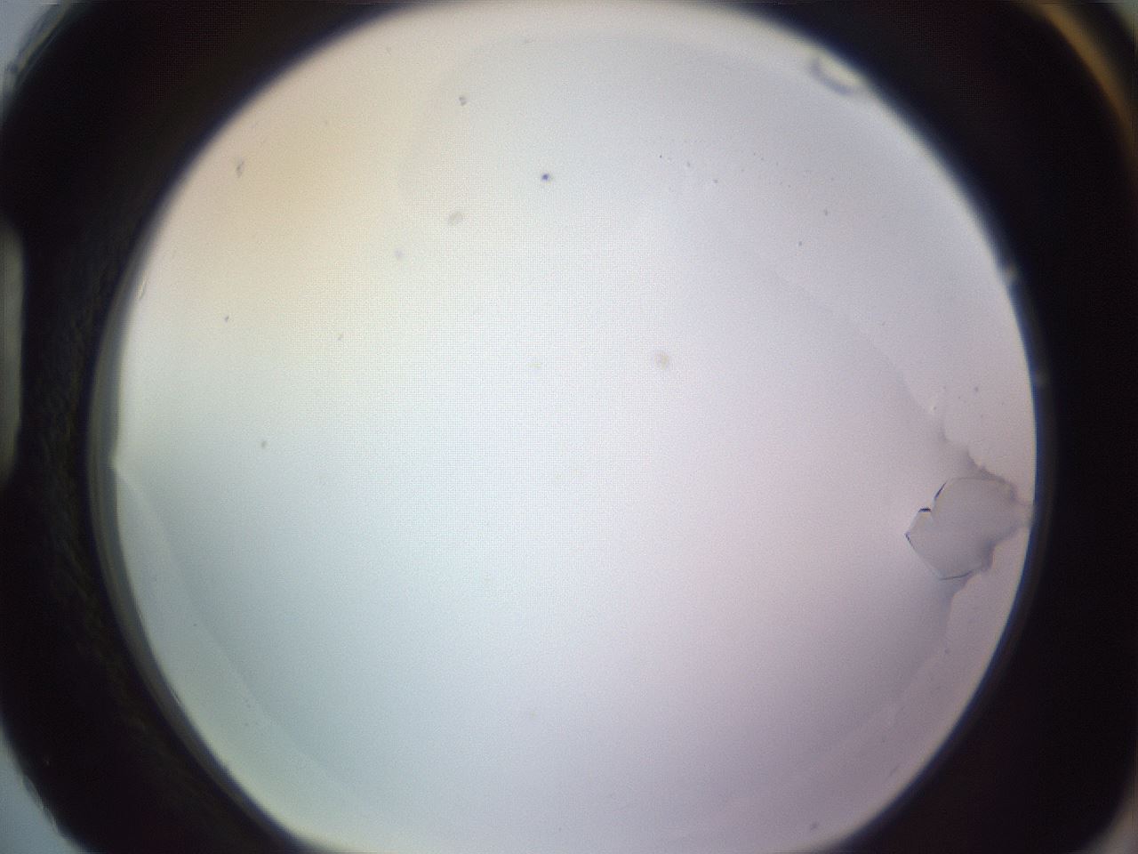 folderID685_plateID2685_batchID13655_wellNum88_profileID1_d1_r218517_ef.jpg