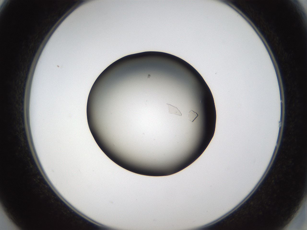 folderID68_plateID1068_batchID2463_wellNum14_profileID1_d2_r54160_ef.jpg