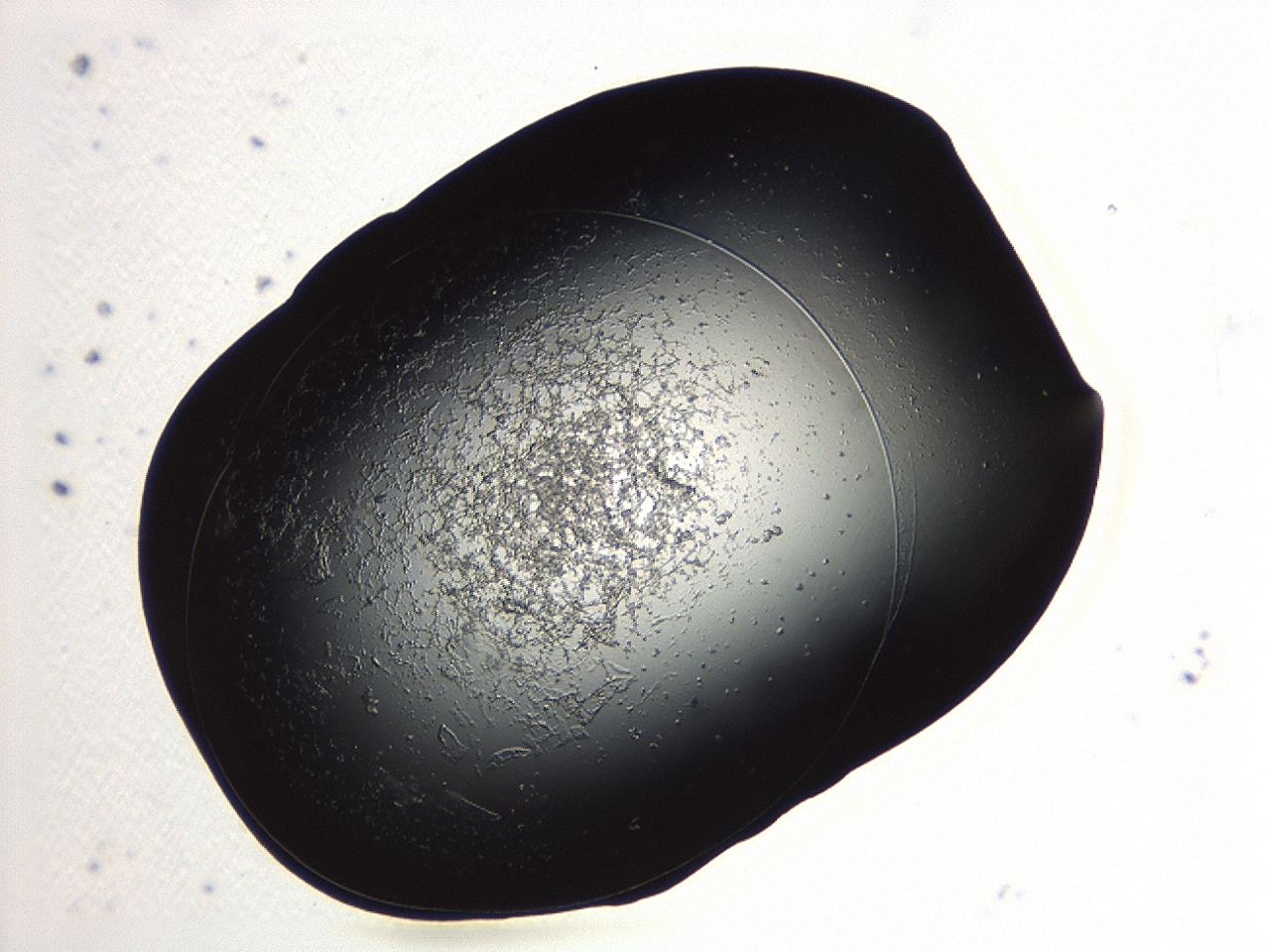 04p3_A12_ImagerDefaults_3.jpg