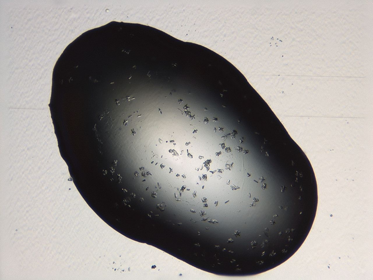 04p3_C6_ImagerDefaults_9.jpg